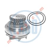 CIRCULATION PUMP COMPLETE MAXTER/BUILDING/DIRECTOR