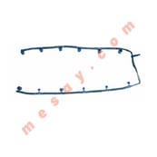 BLEEDING TUBE RVI OLD MODEL