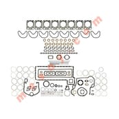 SEAL SET DS-14 G. WITHOUT RUBBER